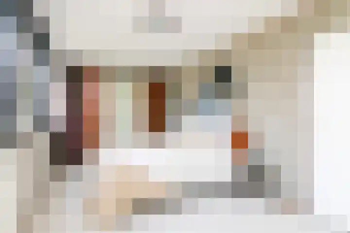 Wijsthoek 519 Uden thumbnail 29