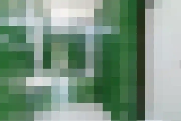 Wijsthoek 519 Uden thumbnail 32