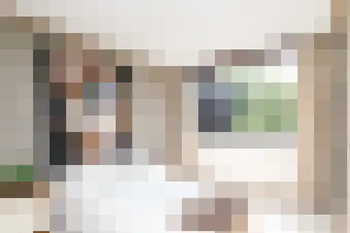 Wijsthoek 519 Uden thumbnail 38