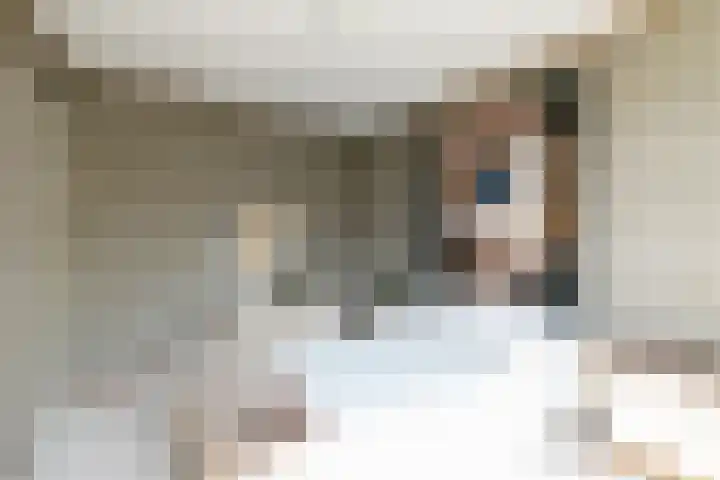 Wijsthoek 519 Uden thumbnail 39
