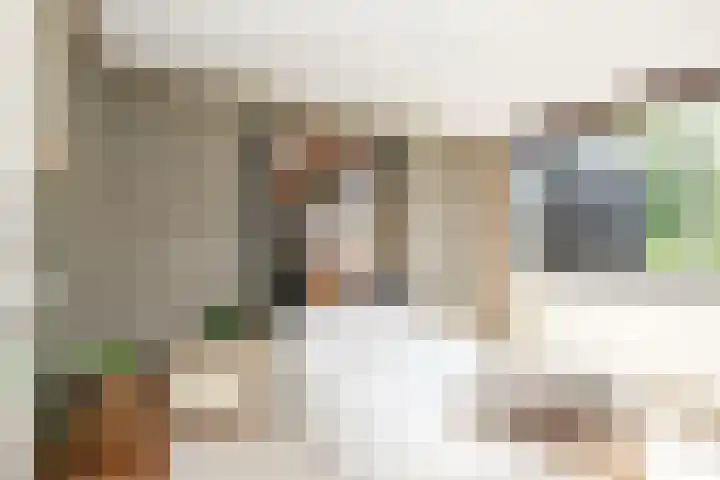Wijsthoek 519 Uden thumbnail 4