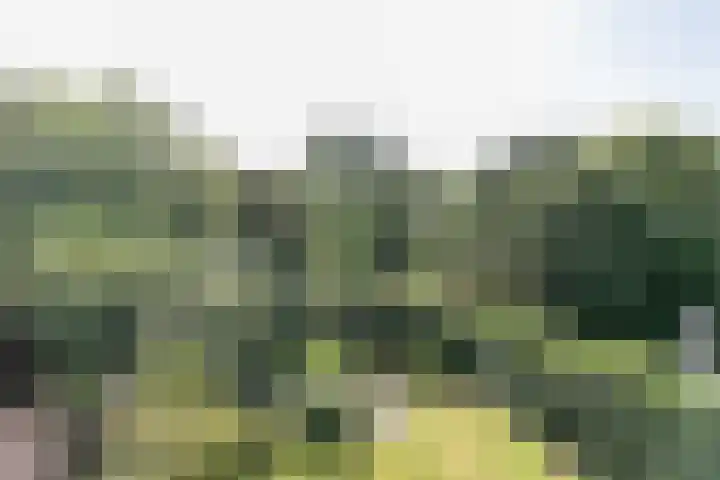 Wijsthoek 519 Uden thumbnail 40