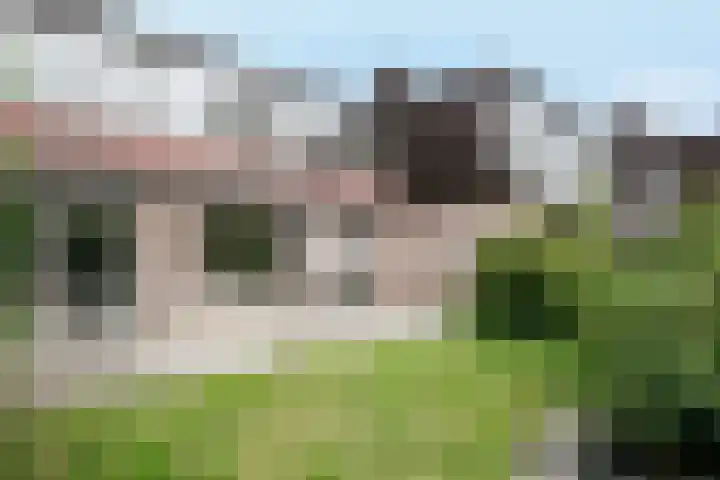 Wijsthoek 519 Uden thumbnail 42