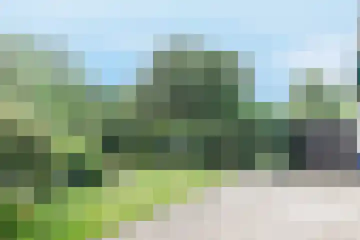 Wijsthoek 519 Uden thumbnail 44