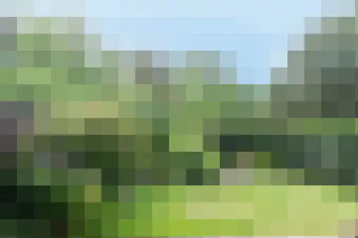 Wijsthoek 519 Uden thumbnail 45