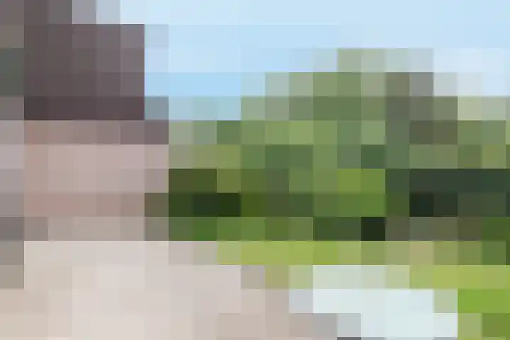 Wijsthoek 519 Uden thumbnail 46