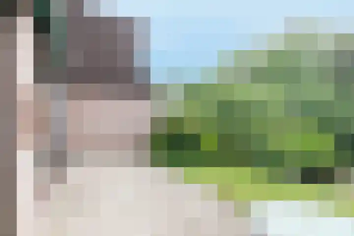 Wijsthoek 519 Uden thumbnail 47