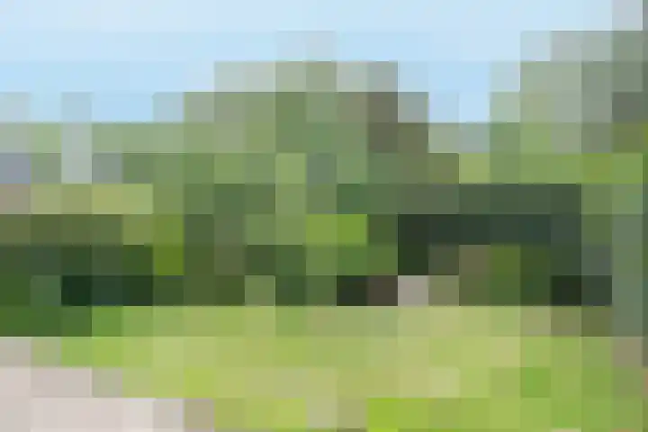 Wijsthoek 519 Uden thumbnail 5