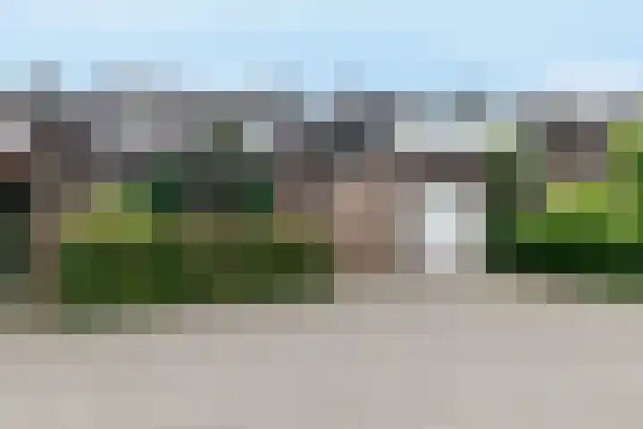 Wijsthoek 519 Uden thumbnail 51