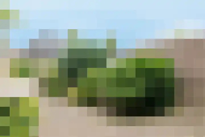 Wijsthoek 519 Uden thumbnail 7