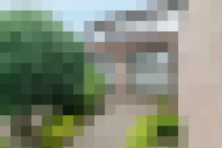 Wijsthoek 519 Uden thumbnail 8
