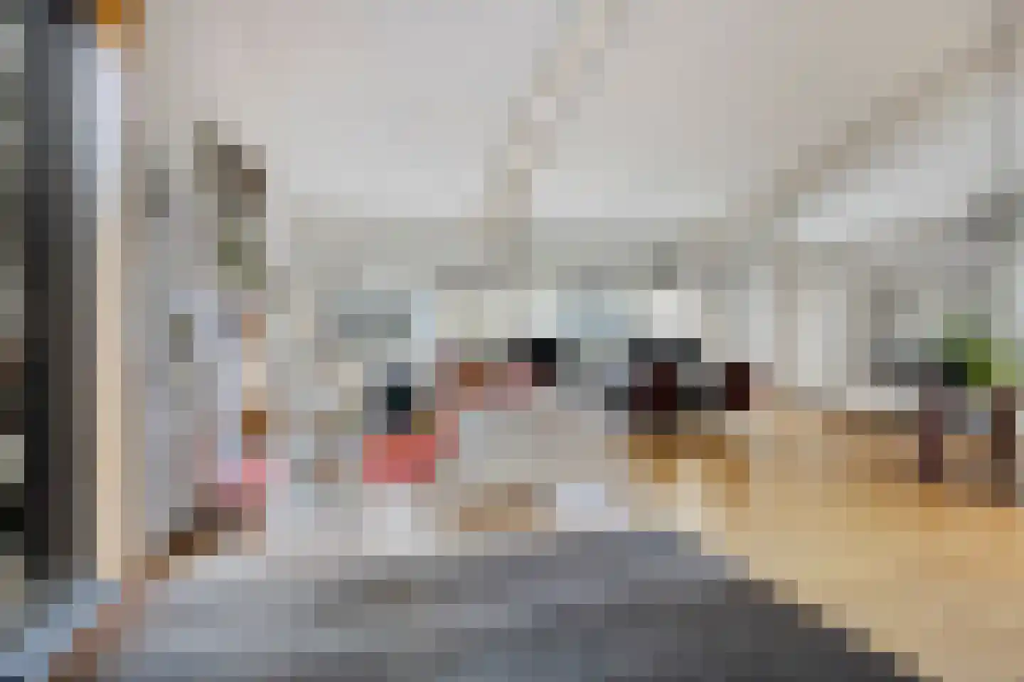 Wijststraat 29 Heesch thumbnail 100