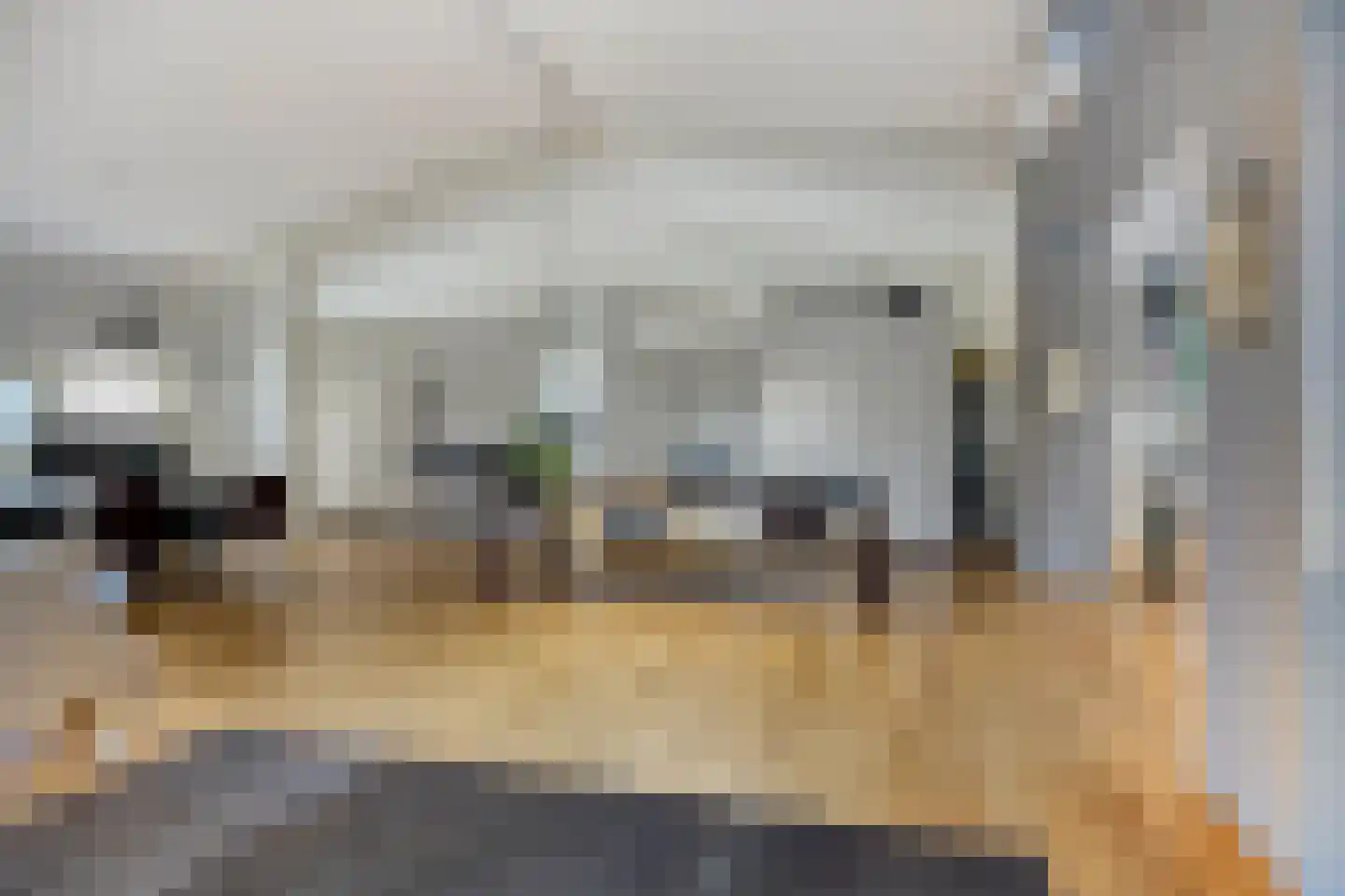 Wijststraat 29 Heesch thumbnail 101
