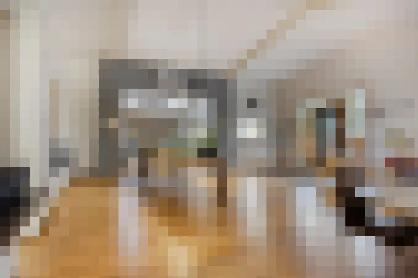 Wijststraat 29 Heesch thumbnail 103