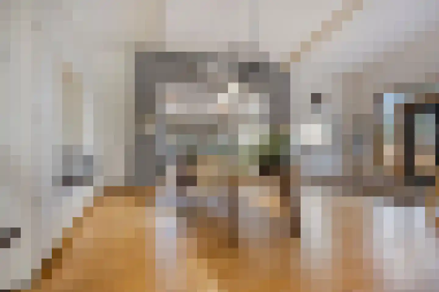 Wijststraat 29 Heesch thumbnail 107