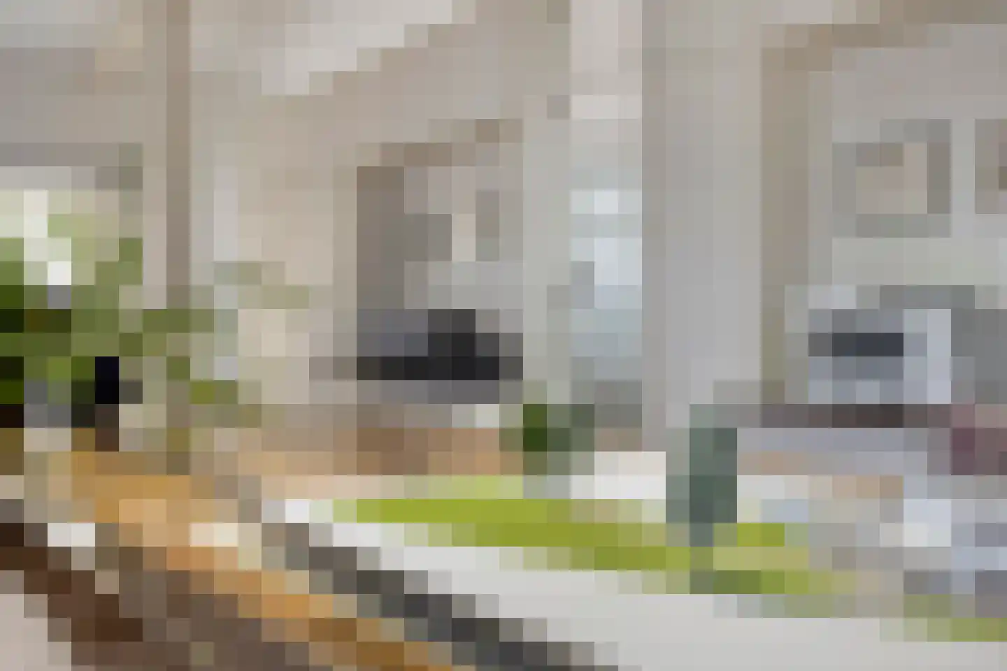 Wijststraat 29 Heesch thumbnail 108