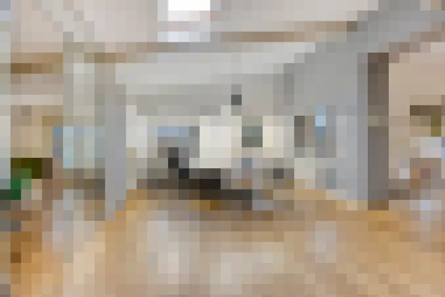 Wijststraat 29 Heesch thumbnail 113