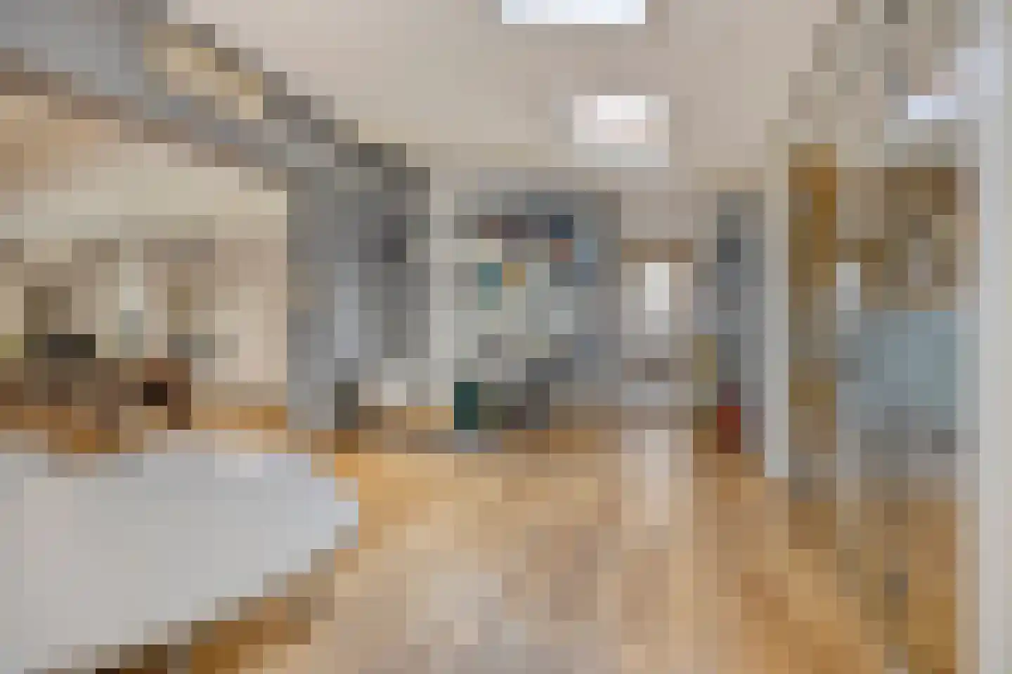 Wijststraat 29 Heesch thumbnail 114