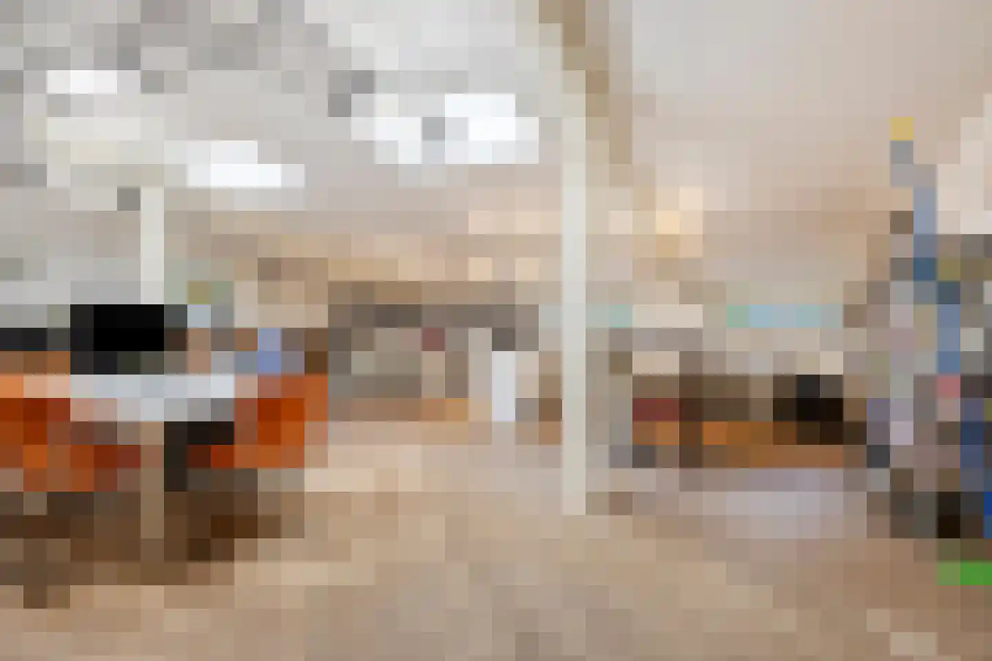 Wijststraat 29 Heesch thumbnail 122