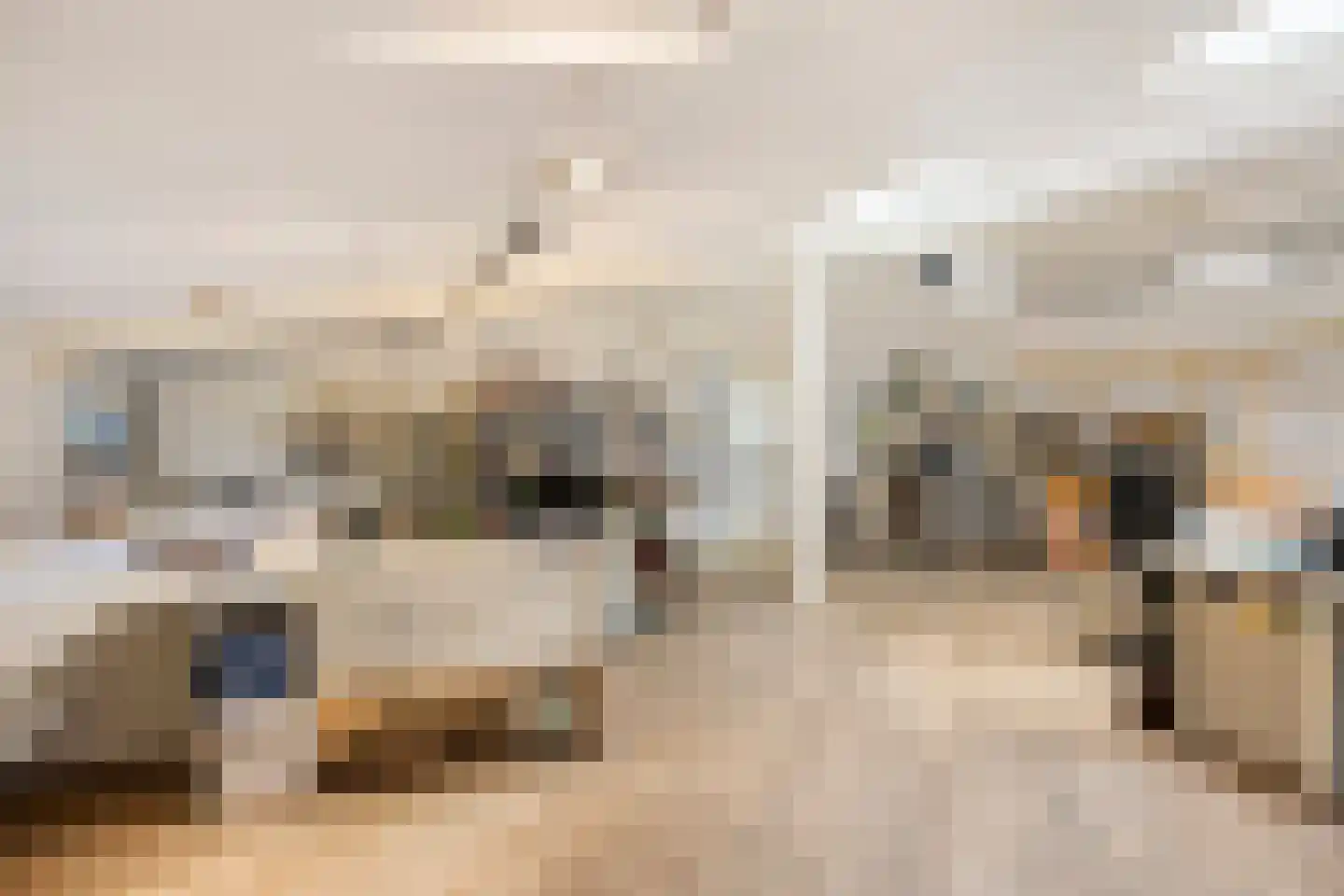 Wijststraat 29 Heesch thumbnail 123
