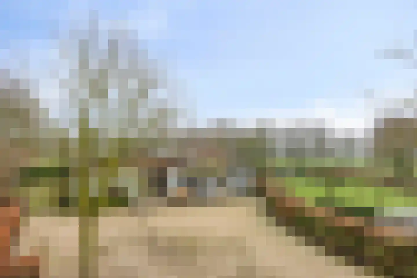 Wijststraat 29 Heesch thumbnail 129