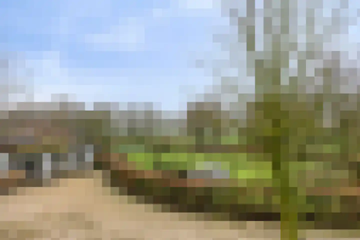 Wijststraat 29 Heesch thumbnail 131