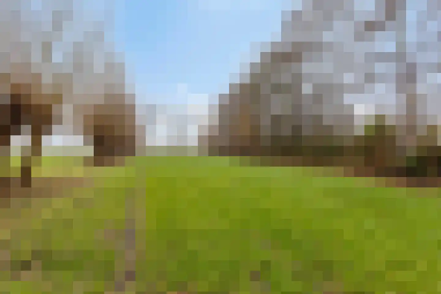 Wijststraat 29 Heesch thumbnail 134