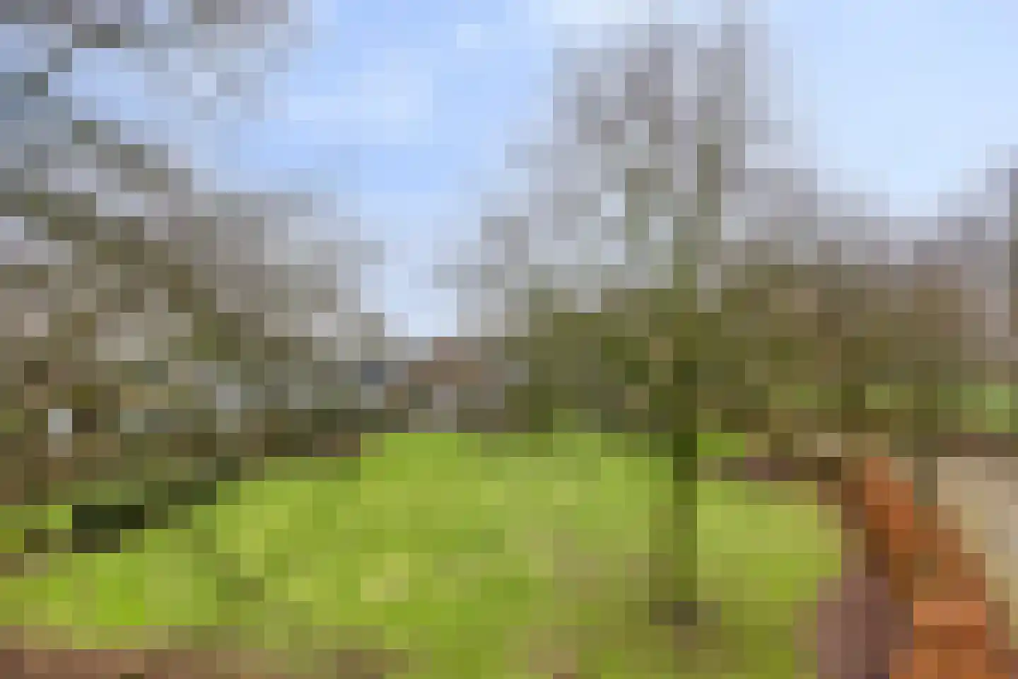 Wijststraat 29 Heesch thumbnail 136
