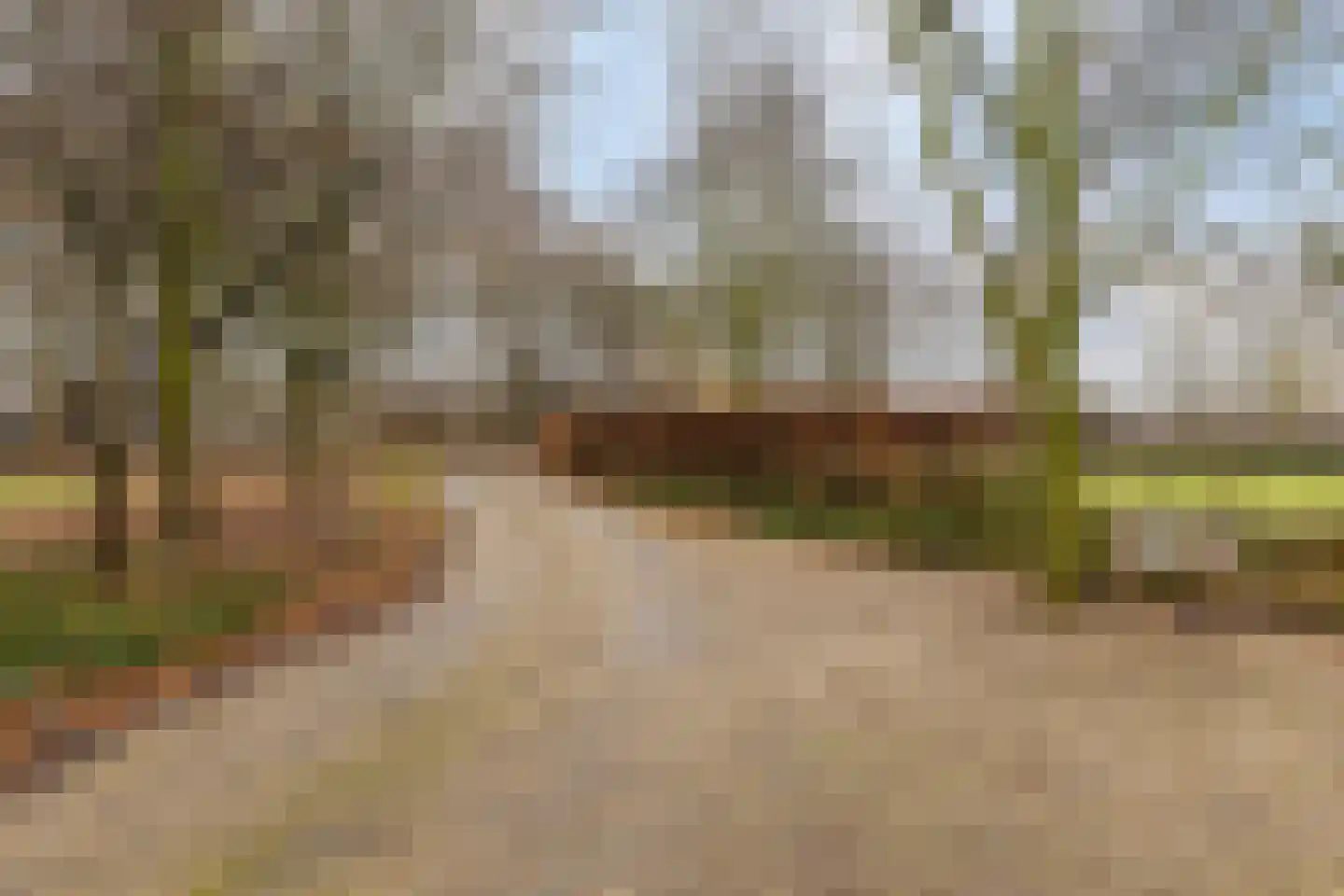 Wijststraat 29 Heesch thumbnail 137