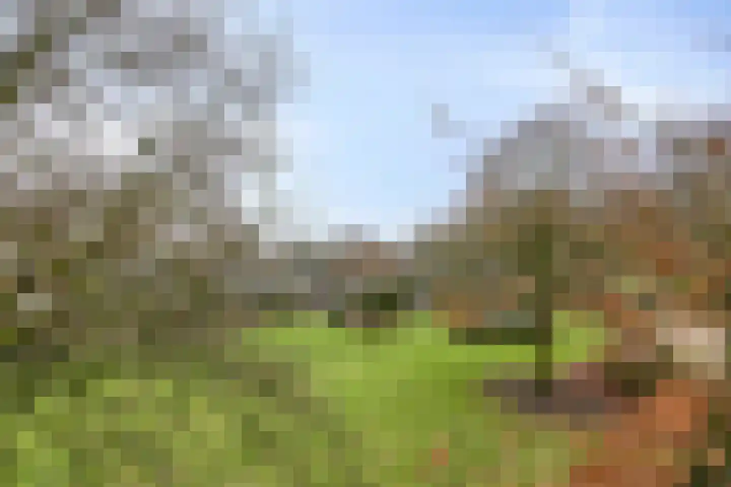 Wijststraat 29 Heesch thumbnail 138