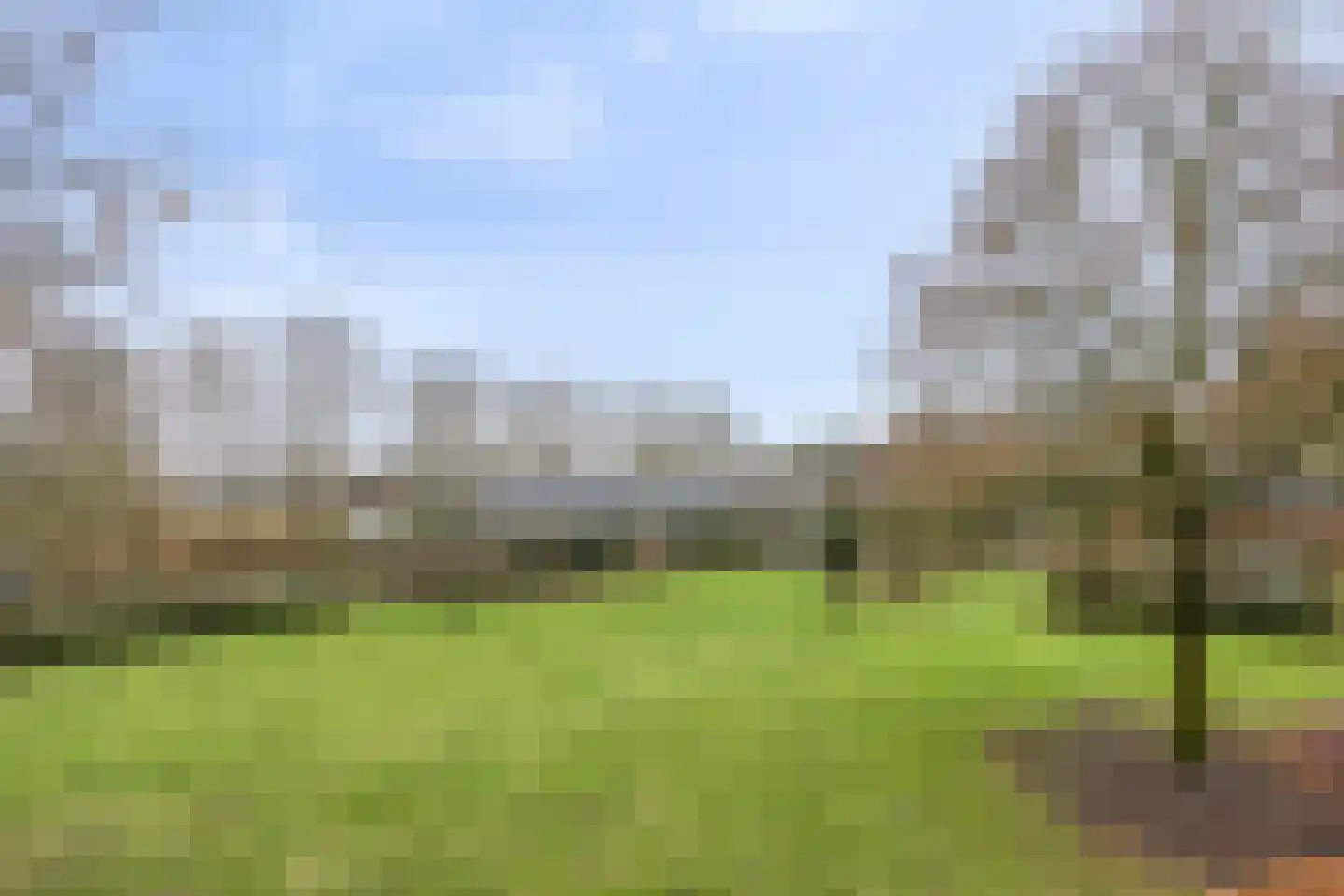 Wijststraat 29 Heesch thumbnail 139