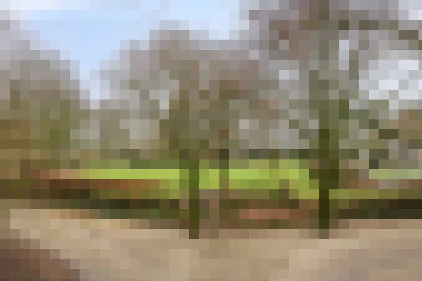 Wijststraat 29 Heesch thumbnail 140