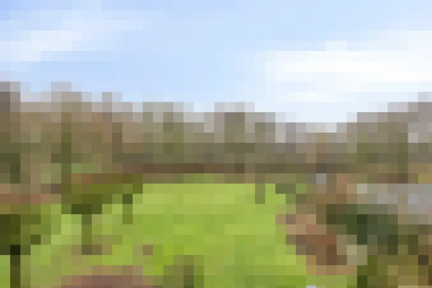 Wijststraat 29 Heesch thumbnail 141