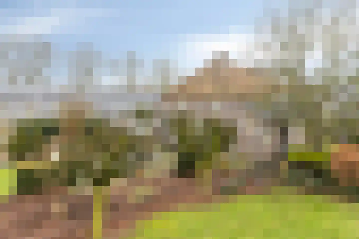 Wijststraat 29 Heesch thumbnail 144