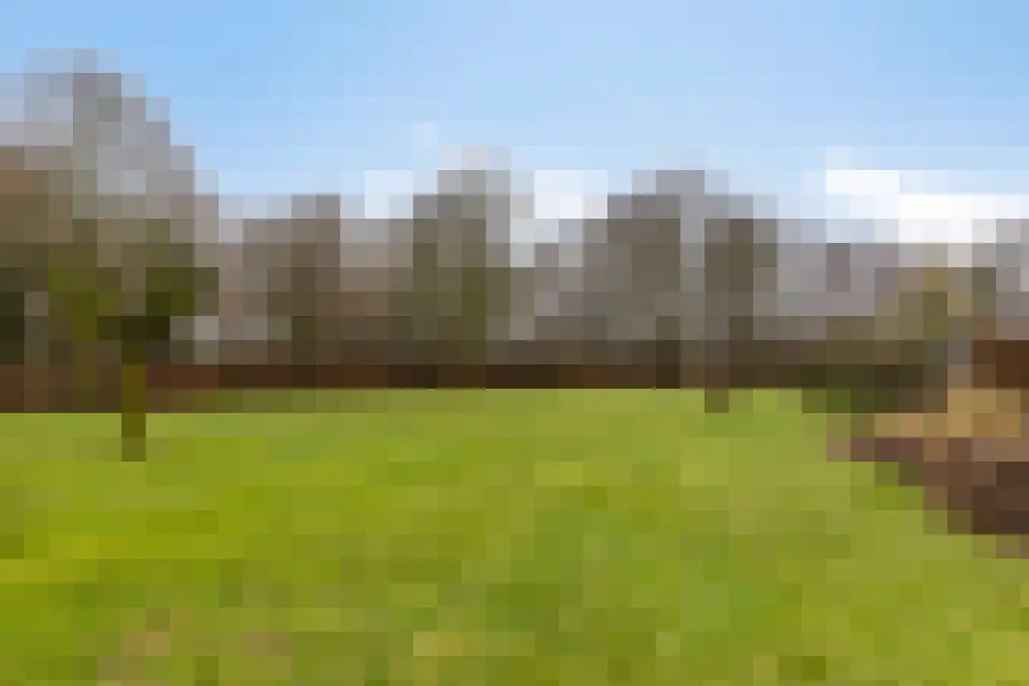 Wijststraat 29 Heesch thumbnail 148