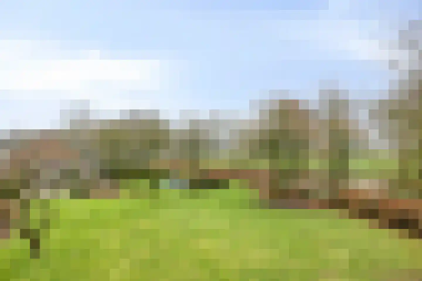 Wijststraat 29 Heesch thumbnail 149