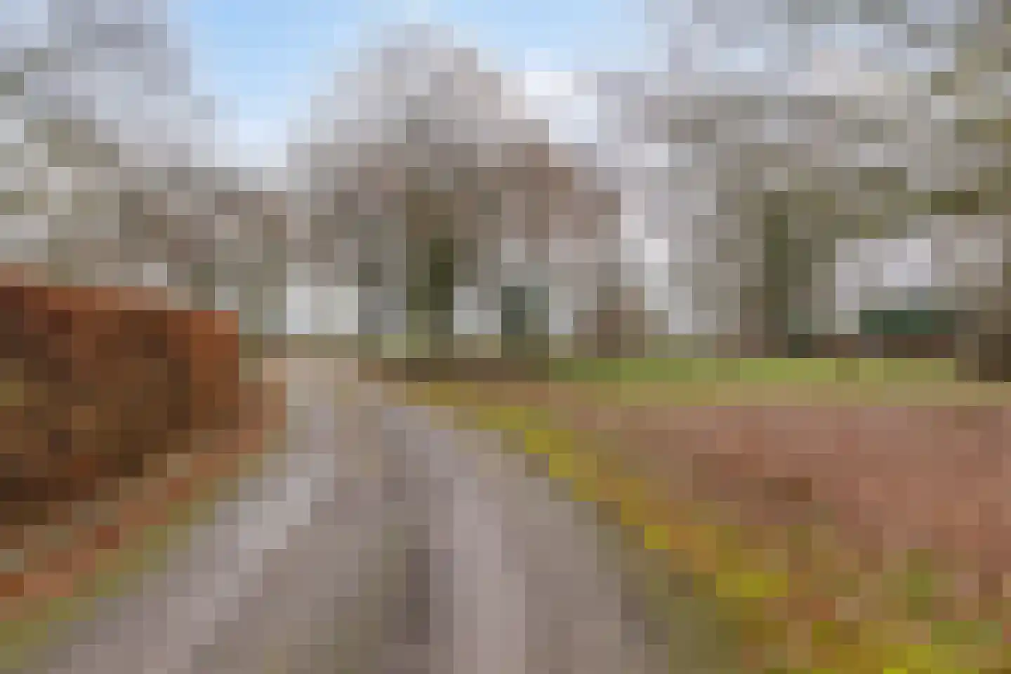Wijststraat 29 Heesch thumbnail 153