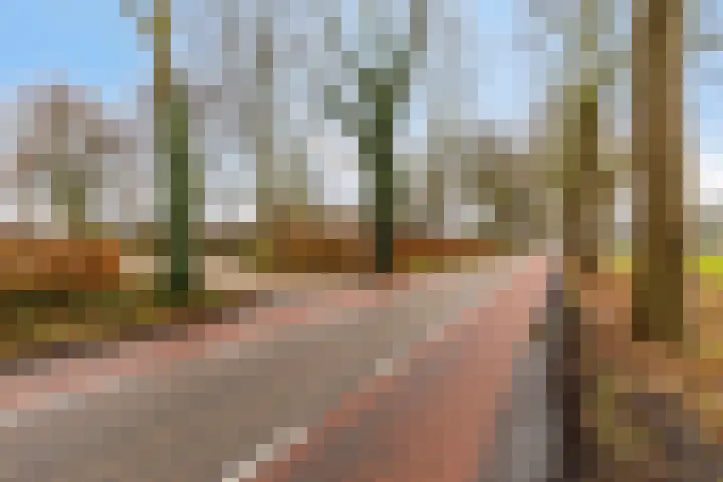Wijststraat 29 Heesch thumbnail 155