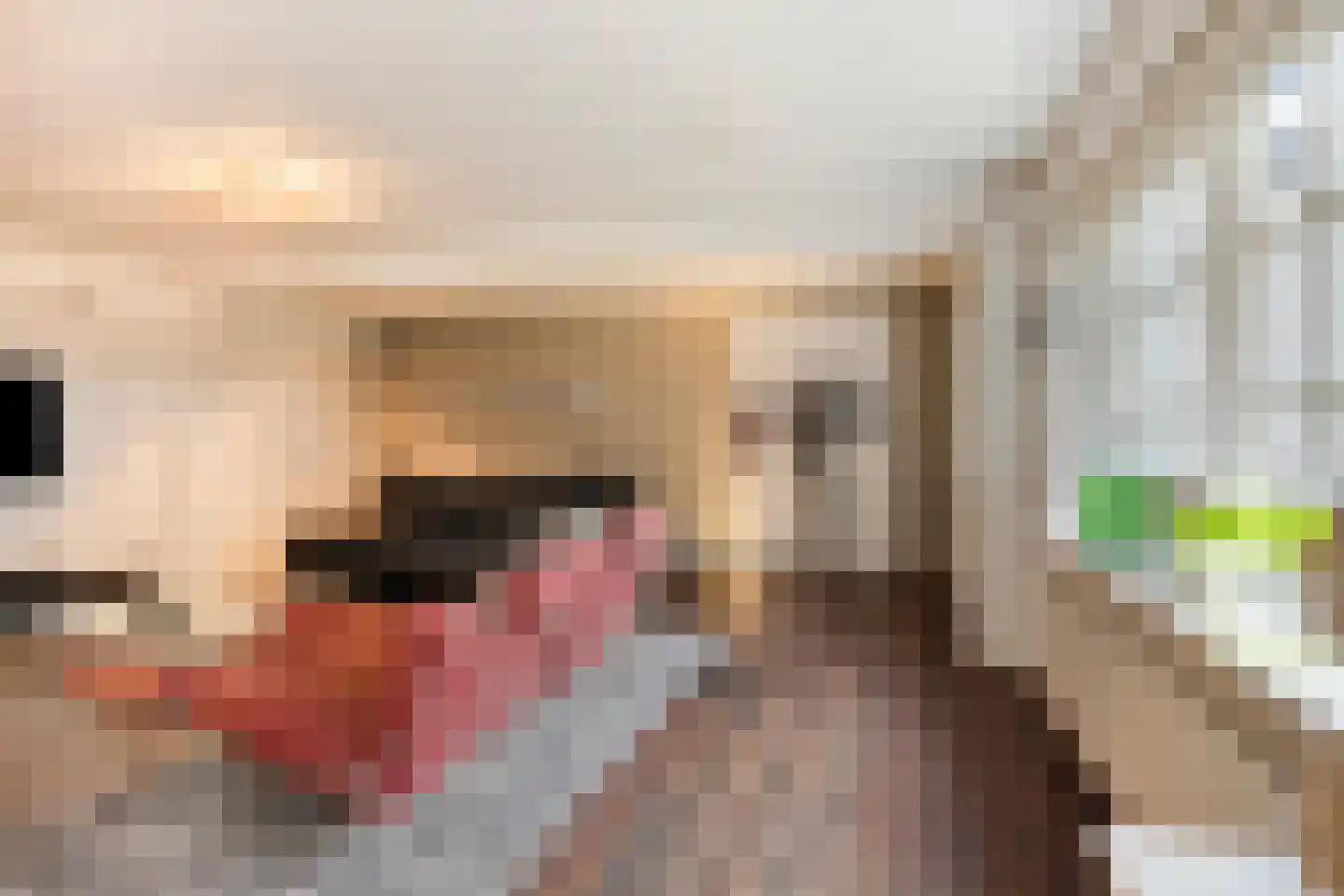 Wijststraat 29 Heesch thumbnail 17