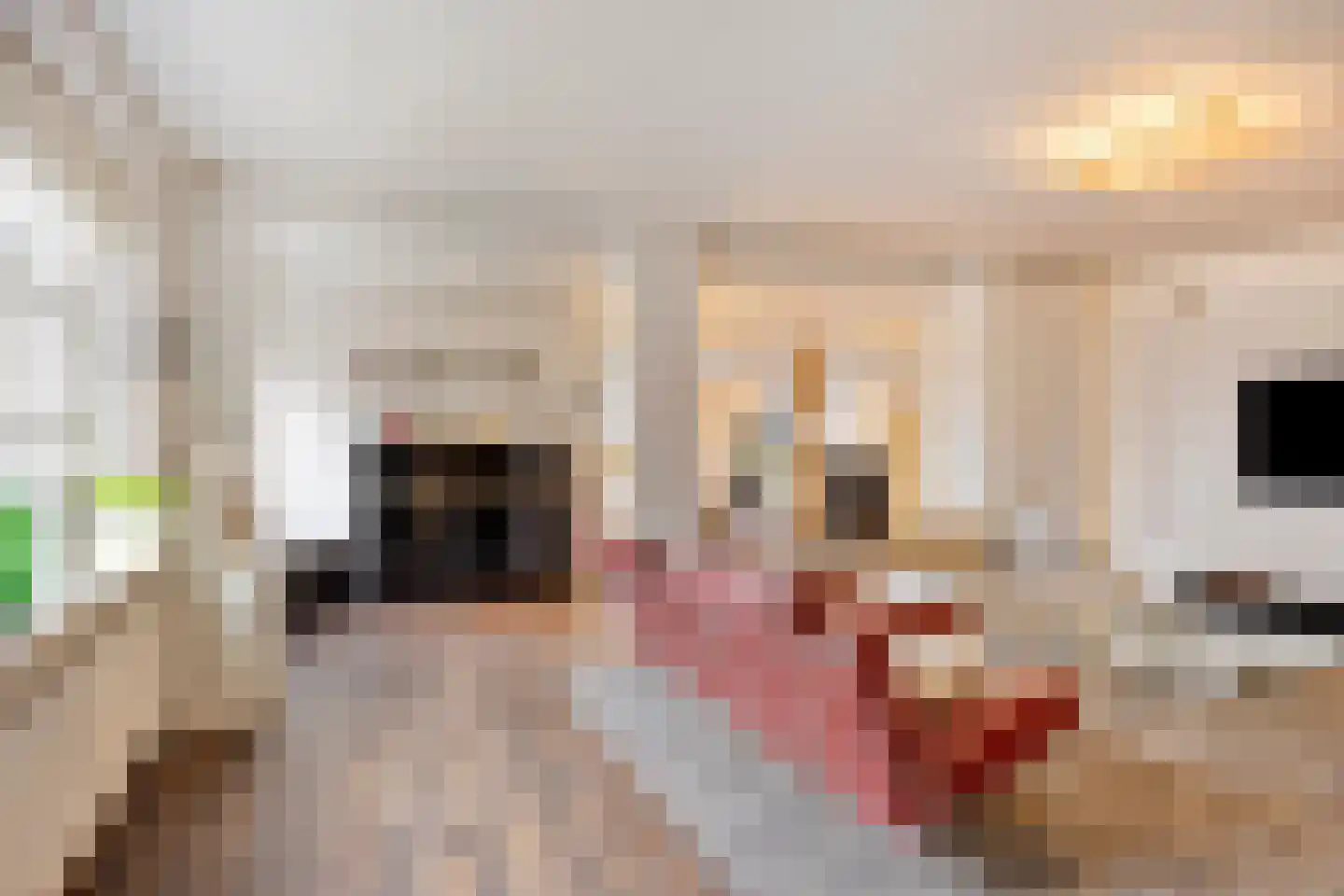 Wijststraat 29 Heesch thumbnail 21