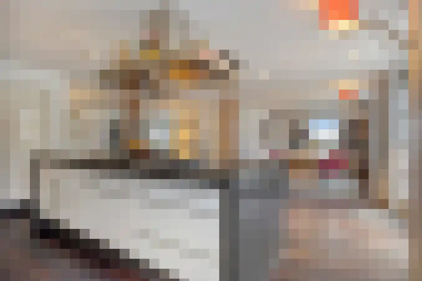 Wijststraat 29 Heesch thumbnail 30