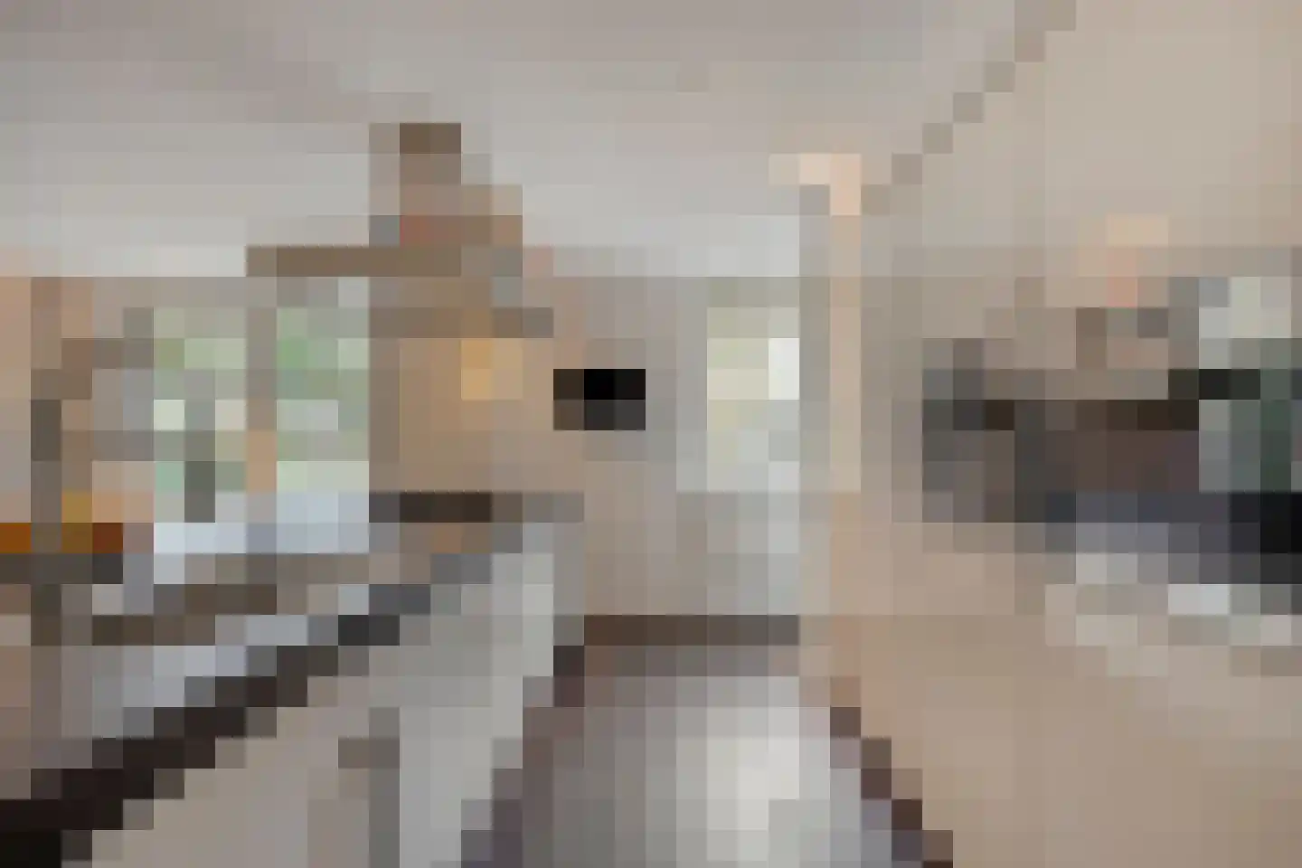 Wijststraat 29 Heesch thumbnail 31
