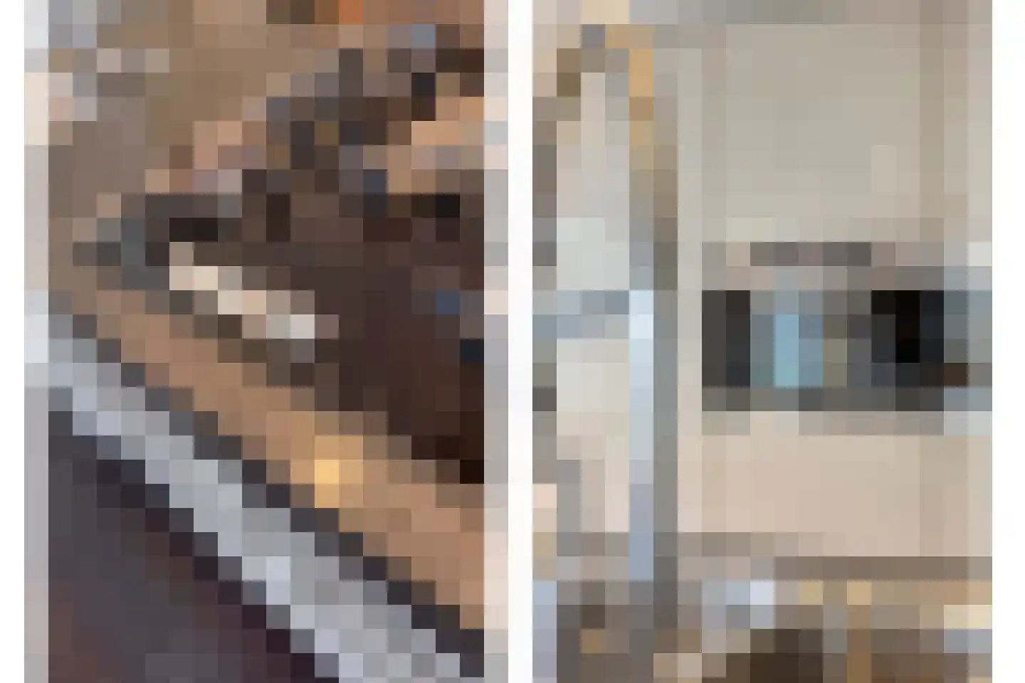 Wijststraat 29 Heesch thumbnail 35