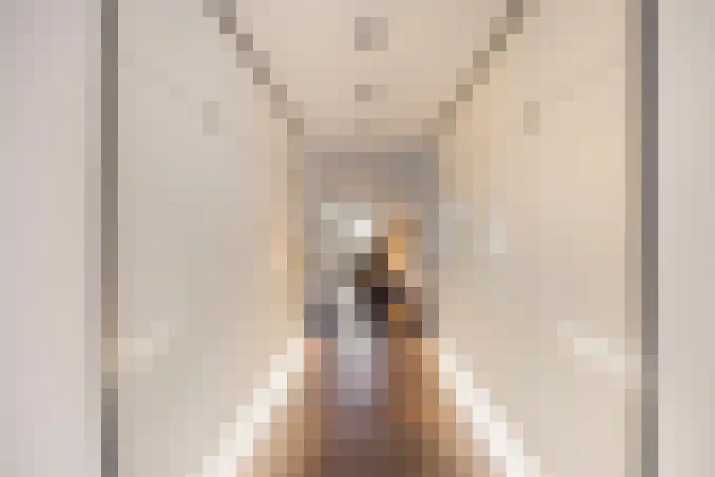 Wijststraat 29 Heesch thumbnail 37
