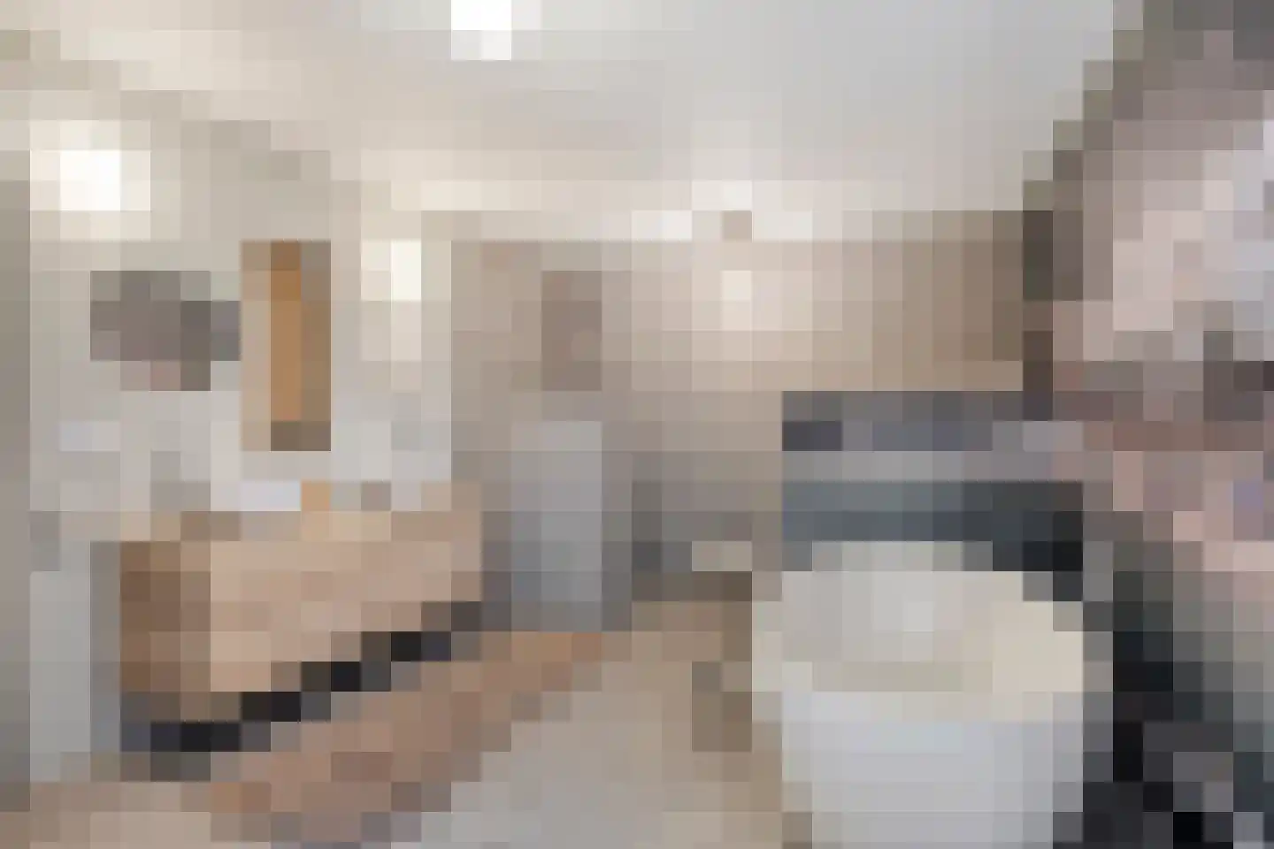 Wijststraat 29 Heesch thumbnail 41