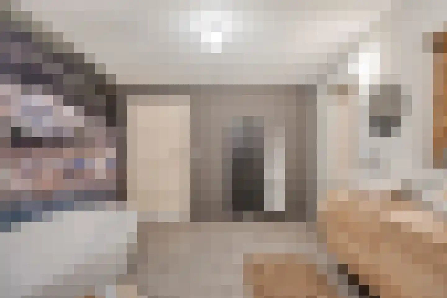Wijststraat 29 Heesch thumbnail 43
