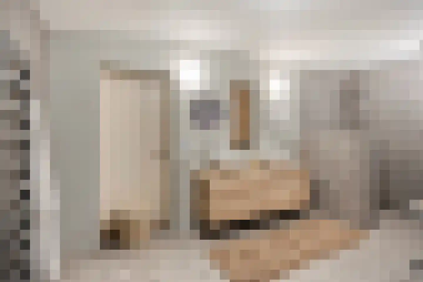 Wijststraat 29 Heesch thumbnail 45