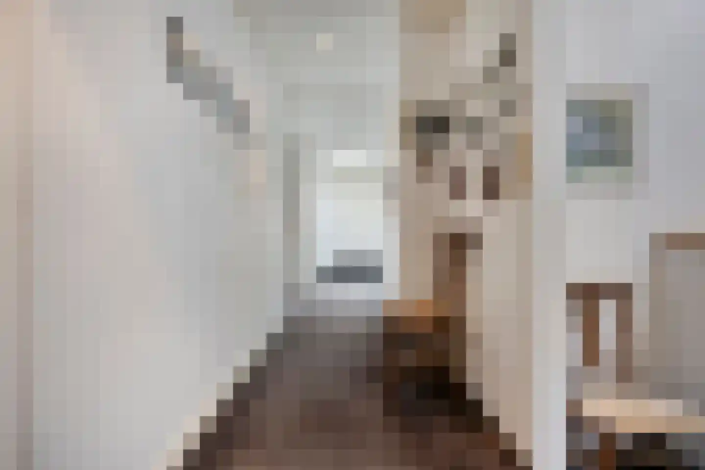 Wijststraat 29 Heesch thumbnail 51