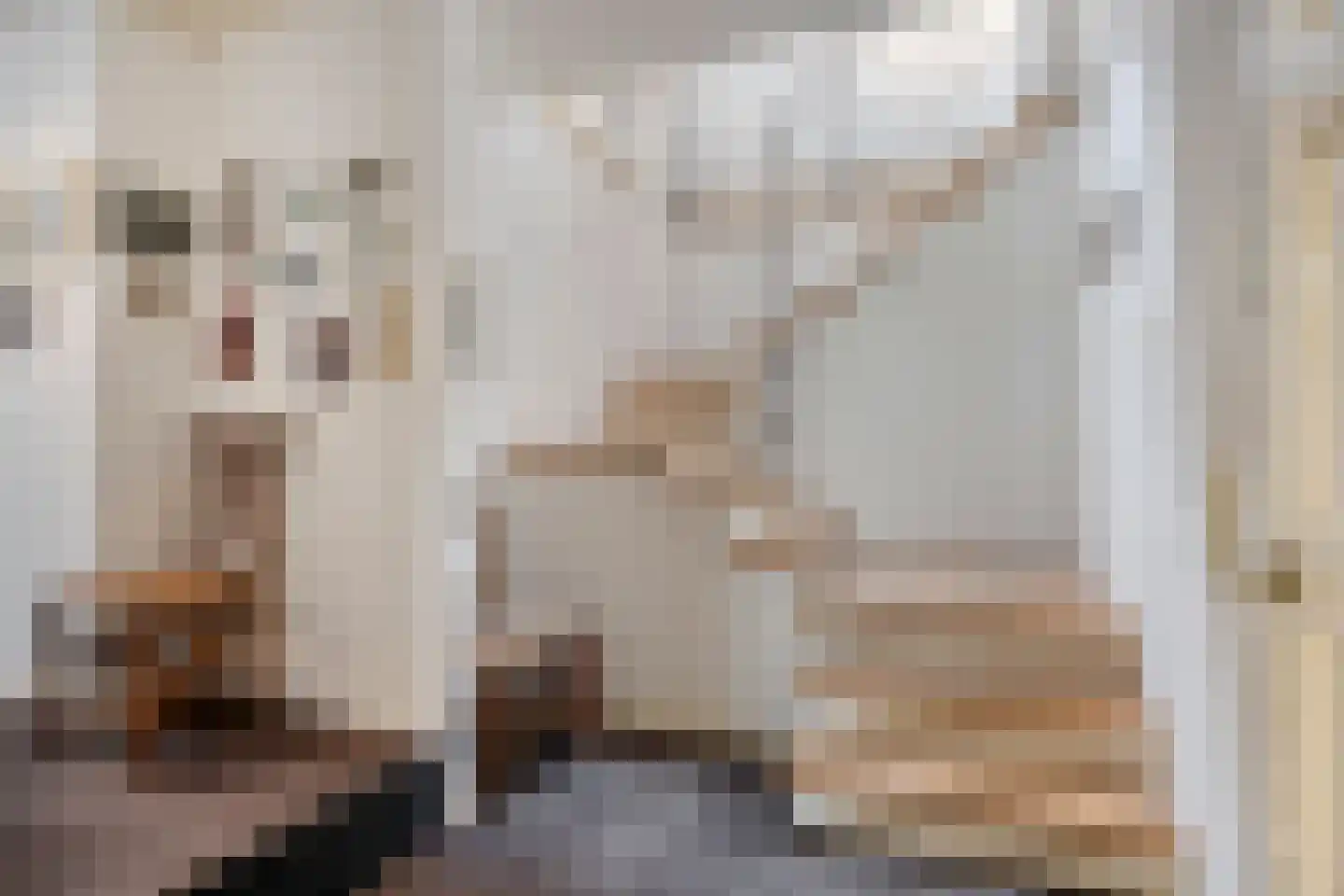 Wijststraat 29 Heesch thumbnail 52