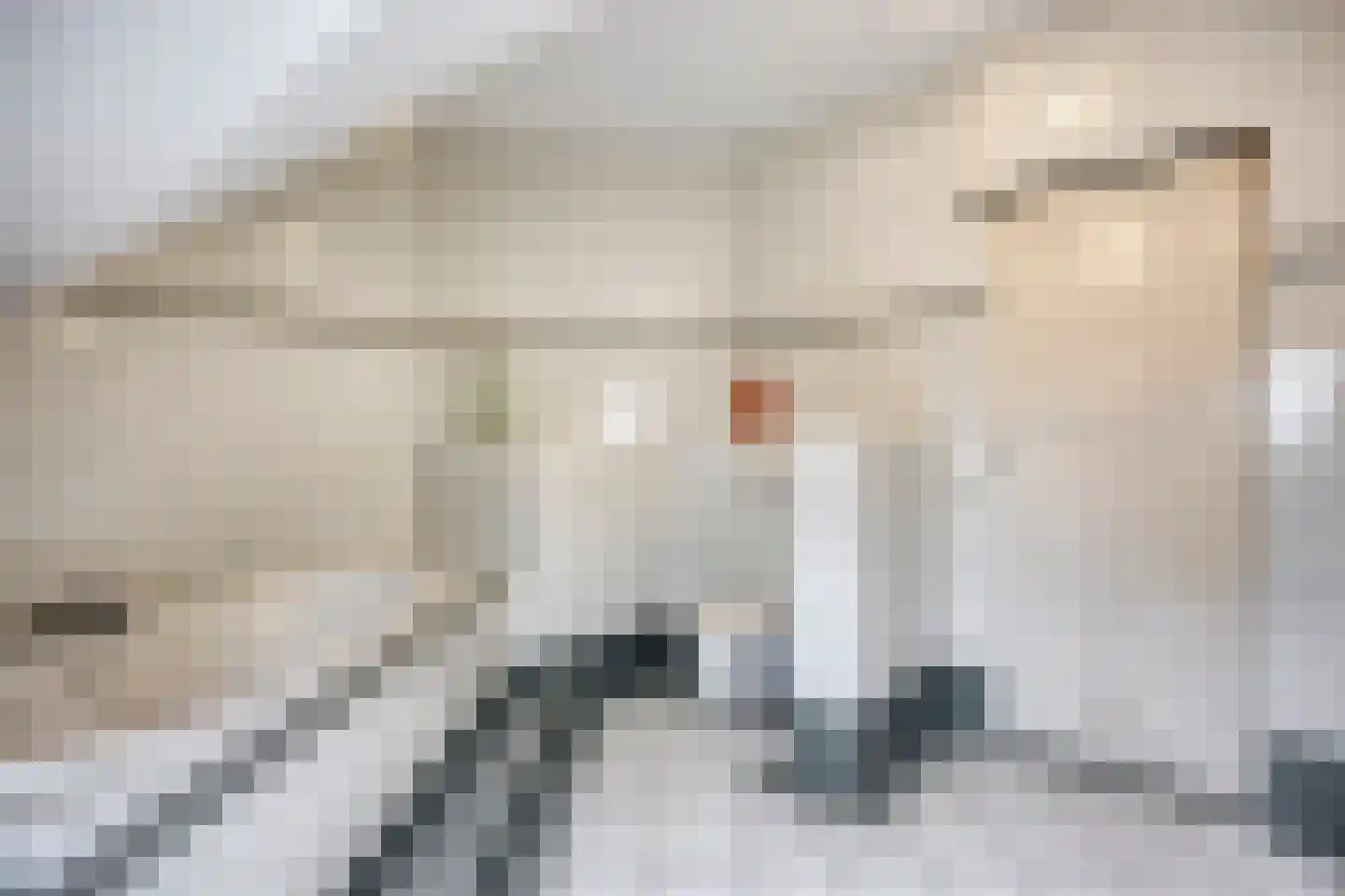 Wijststraat 29 Heesch thumbnail 66